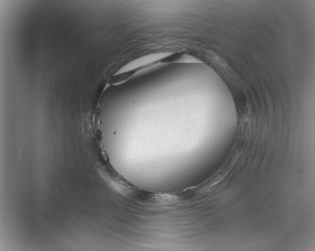 X0000073390429200608111238