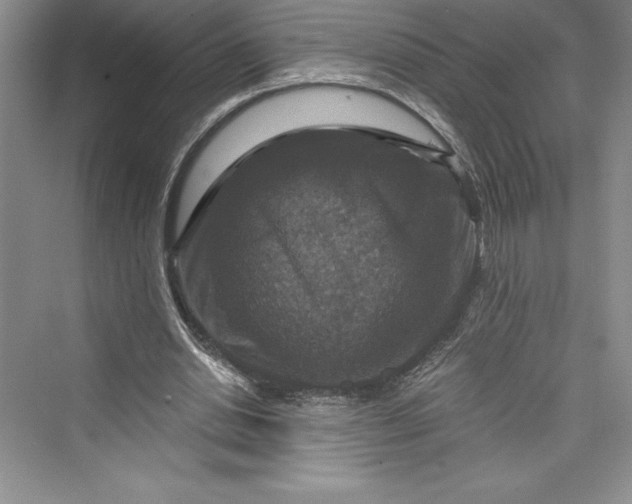 X0000073390438200608111237