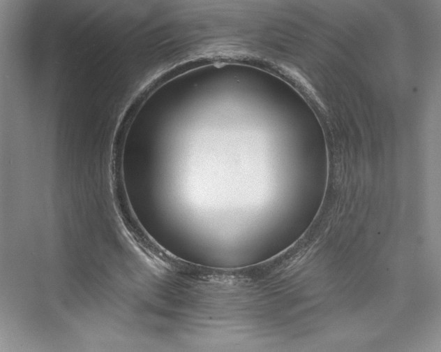 X0000073390439200608111237