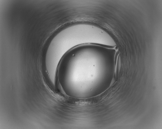 X0000073390448200608111237
