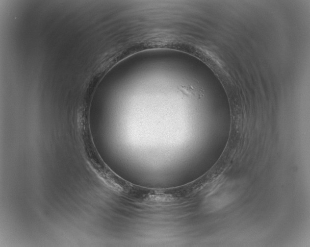 X0000073390455200608111237