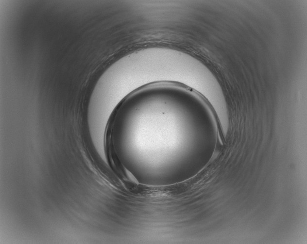 X0000073390456200608111237