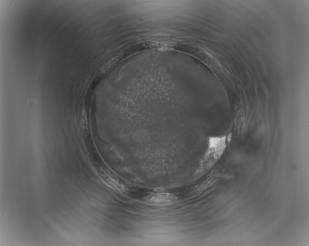 X0000073390459200608111237