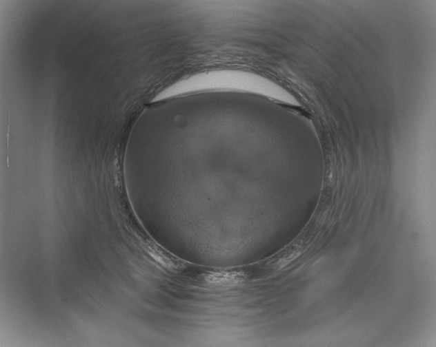 X0000073390465200608111237