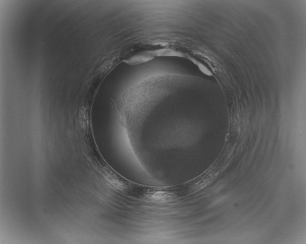 X0000073390467200608111237