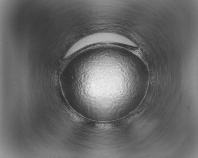 X0000073390469200608111237