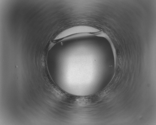 X0000073390470200608111237