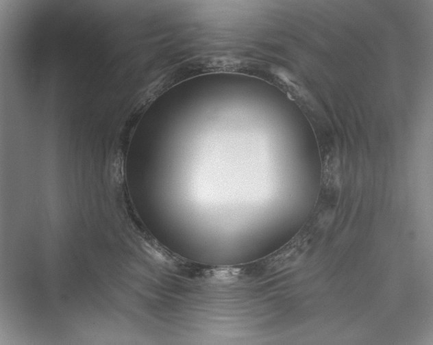 X0000073390474200608111238