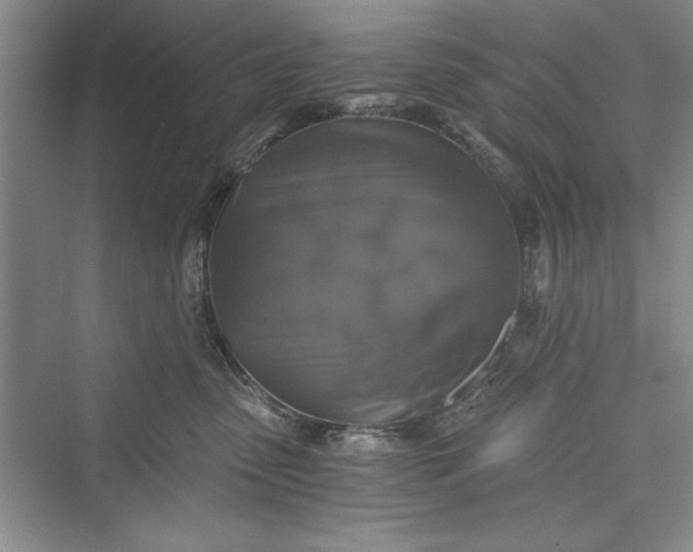 X0000073390475200608111238