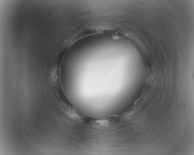 X0000073390478200608111238
