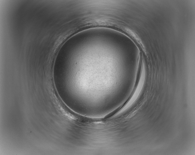 X0000073390481200608111237