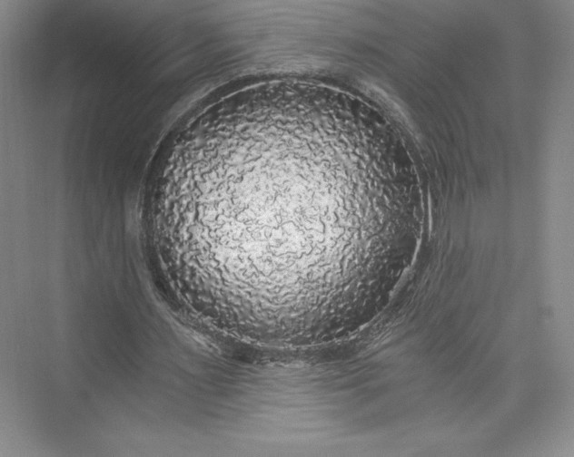 X0000073390483200608111237