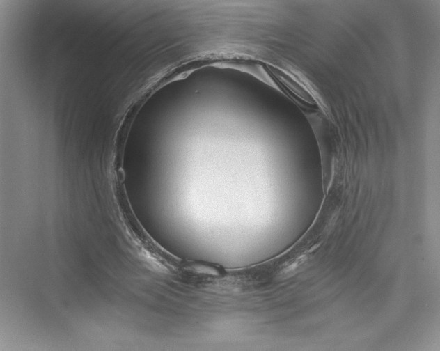 X0000073390485200608111237