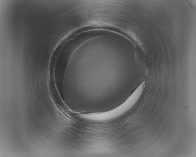 X0000073390488200608111237