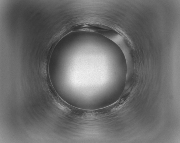 X0000073390489200608111237