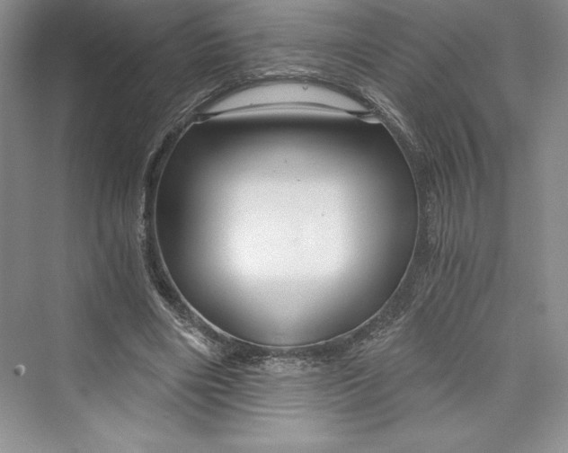 X0000073390490200608111237