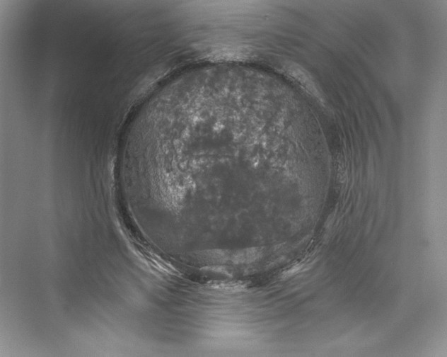 X0000073390491200608111237
