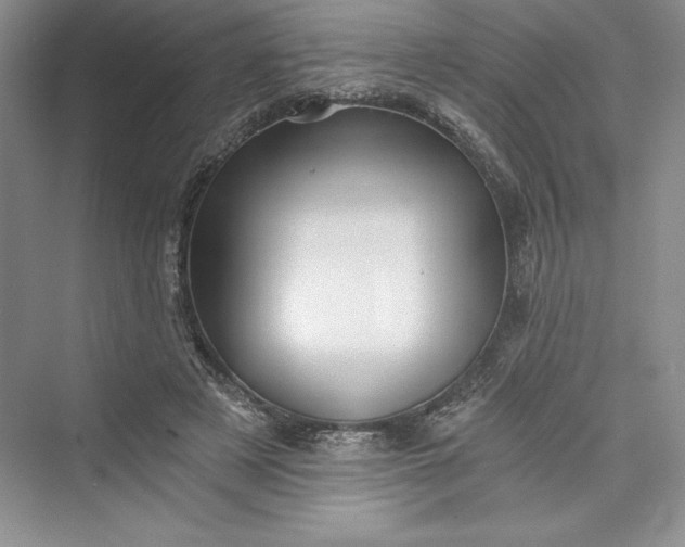 X0000073390497200608111237