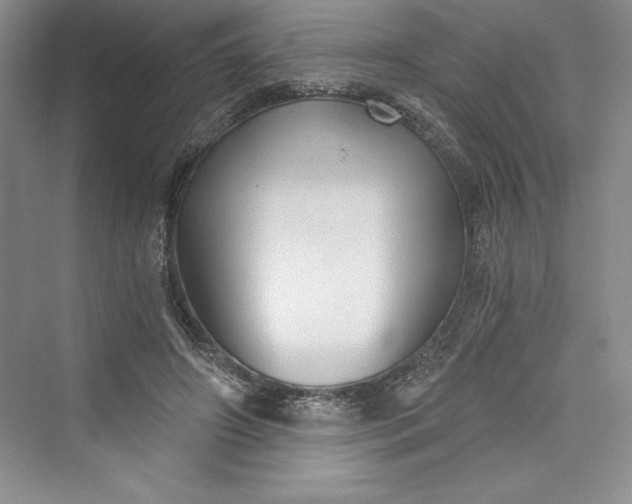 X0000073390498200608111237