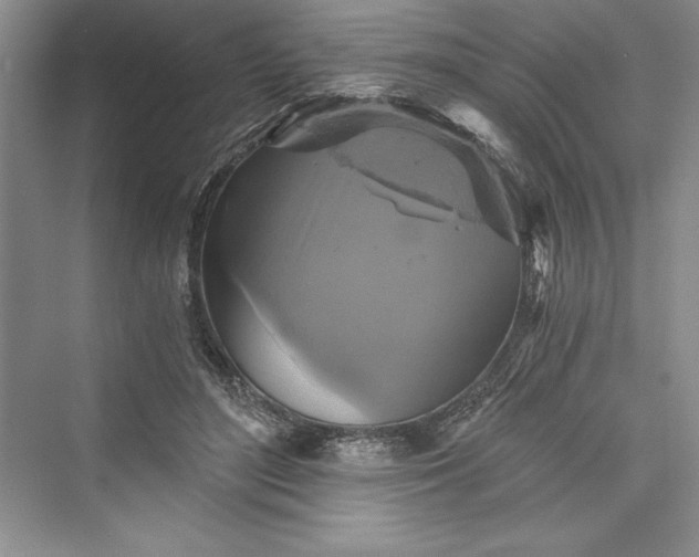 X0000073390500200608111236