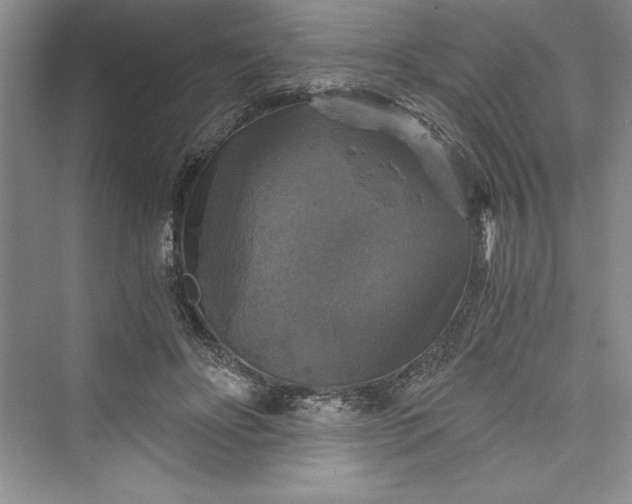 X0000073390502200608111236