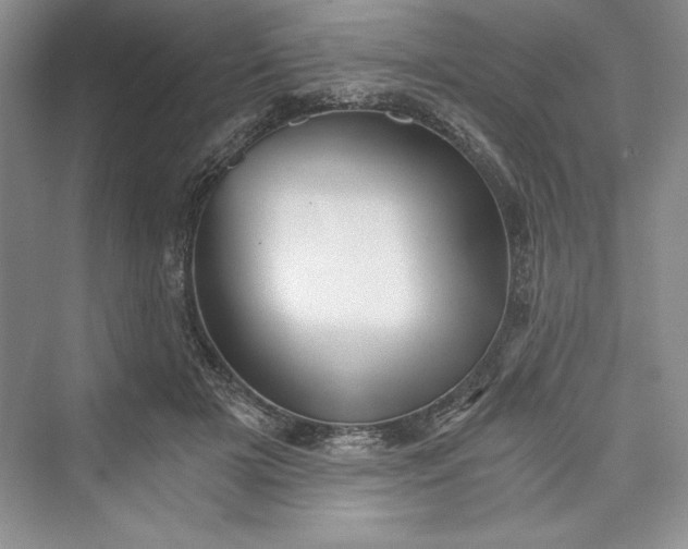 X0000073390505200608111236