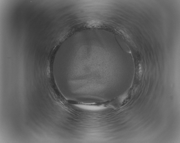 X0000073390508200608111236