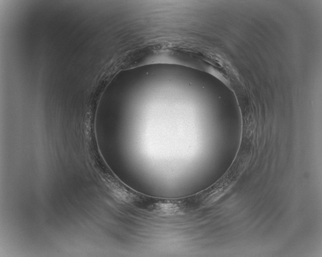 X0000073390509200608111236