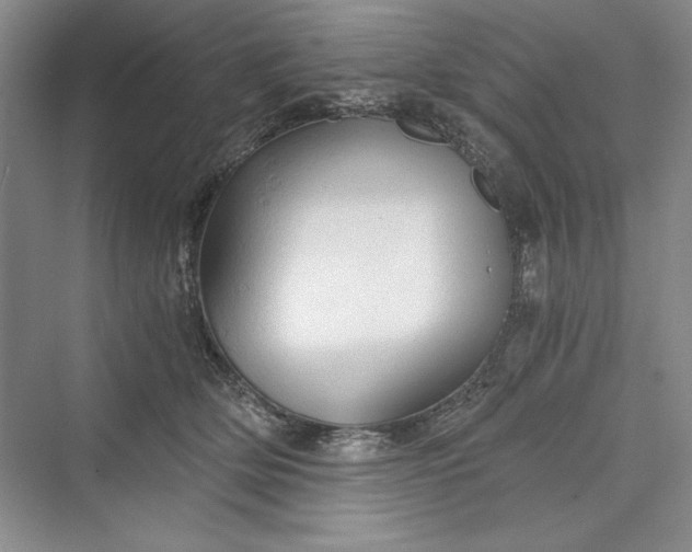 X0000073390514200608111236