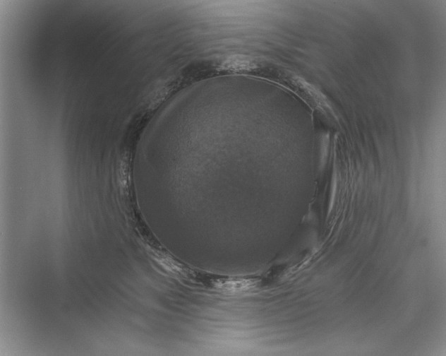 X0000073390517200608111236