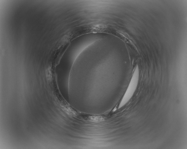 X0000073390520200608111236
