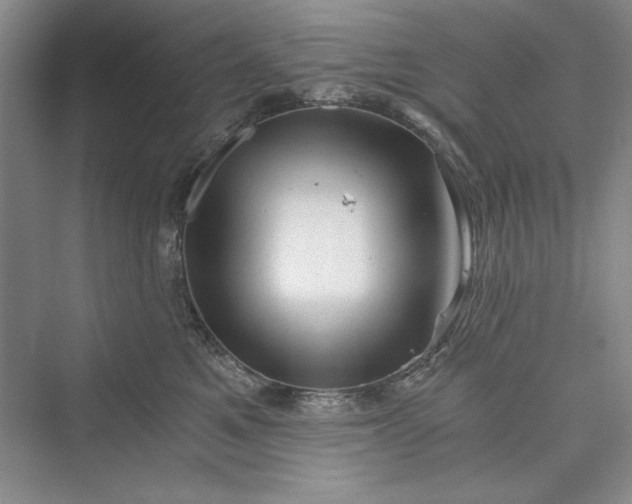 X0000073390521200608111236