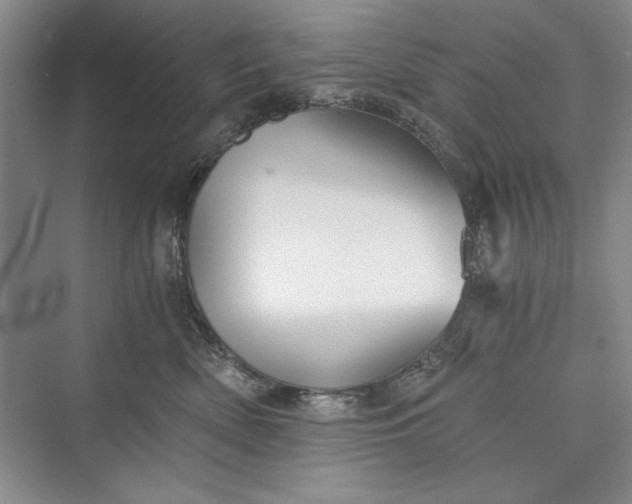 X0000073390522200608111236