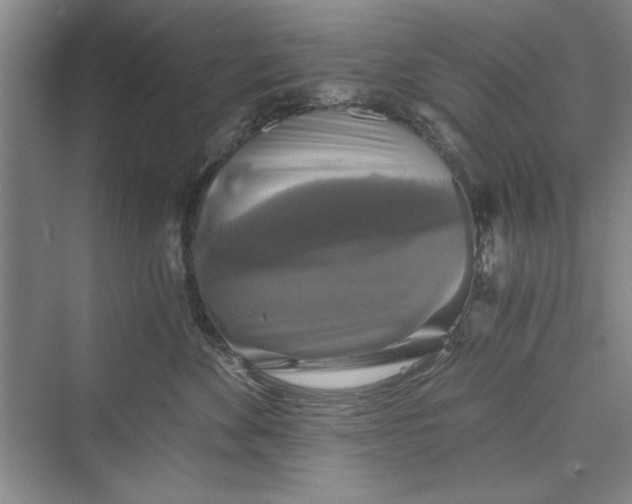 X0000073390524200608111236