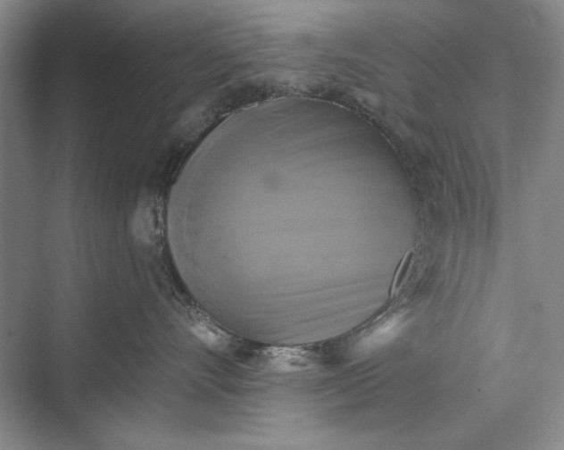 X0000073390528200608111236