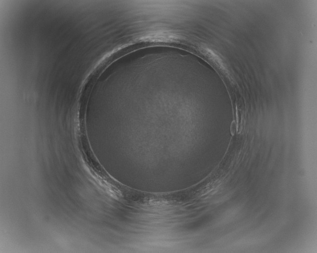 X0000073390531200608111235