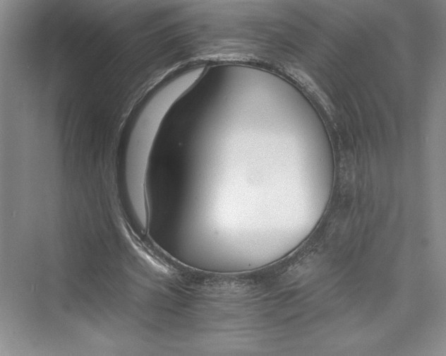 X0000073390533200608111235