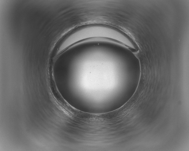 X0000073390535200608111235
