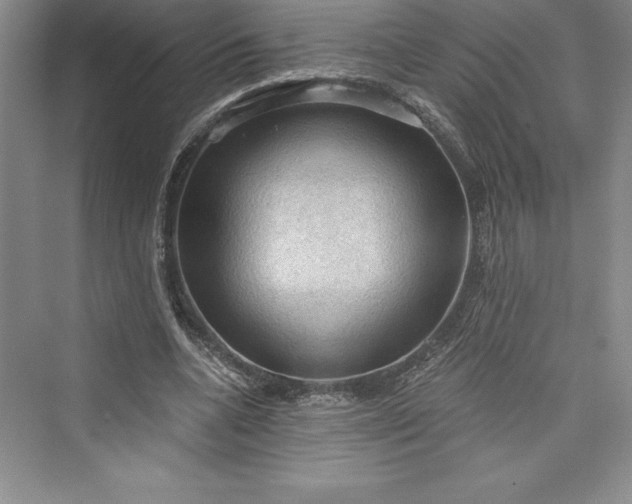 X0000073390536200608111235