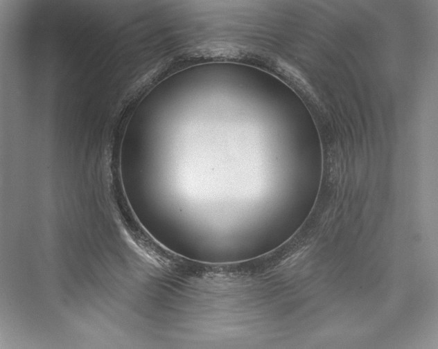 X0000073390538200608111235