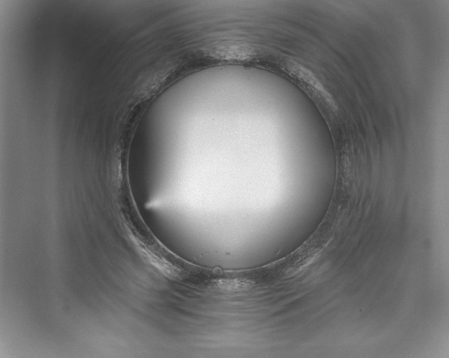 X0000073390541200608111235