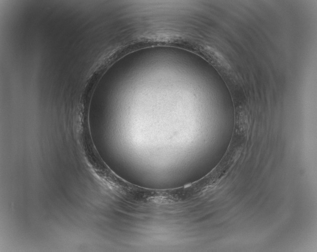 X0000073390544200608111235