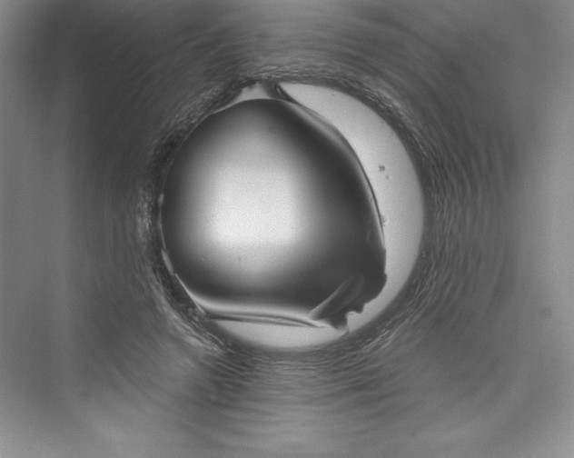 X0000073390546200608111235