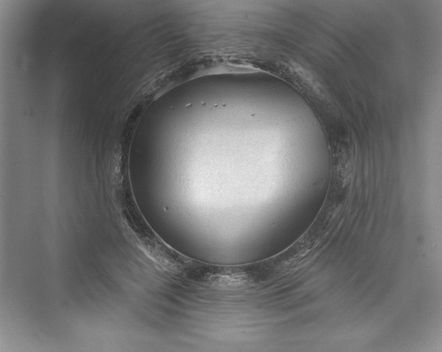 X0000073390548200608111236