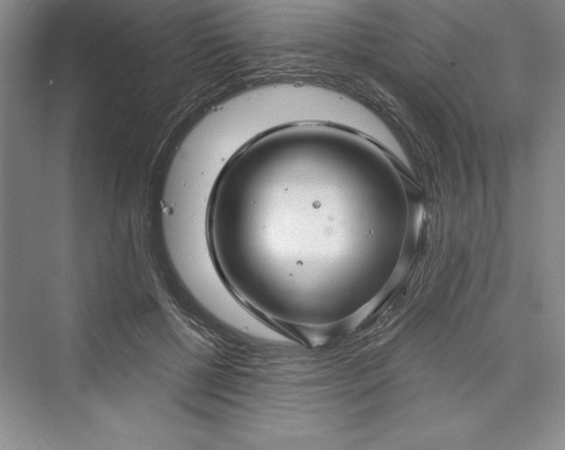 X0000073390552200608111236
