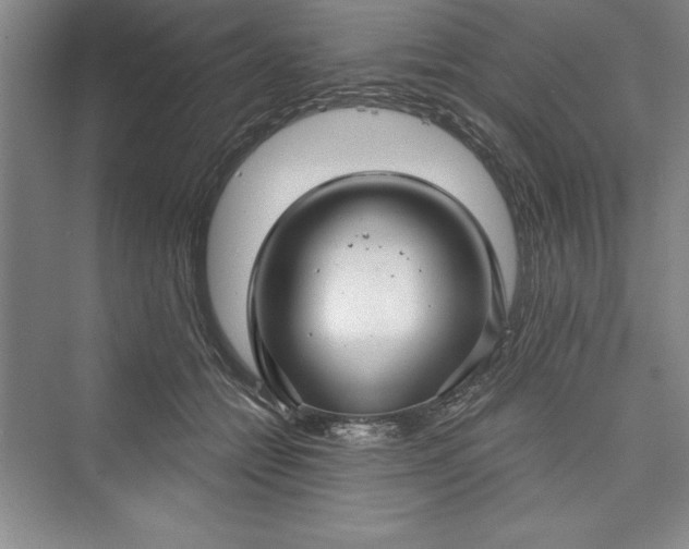 X0000073390558200608111236