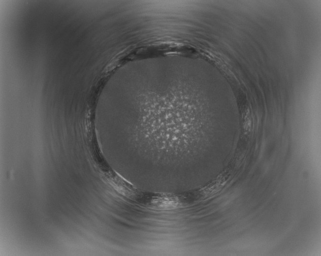 X0000073390559200608111236