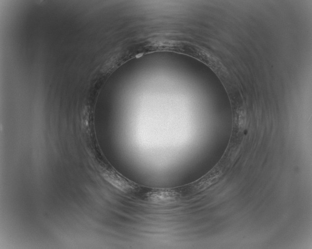 X0000073390567200608111236