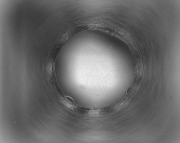X0000073390574200608111236