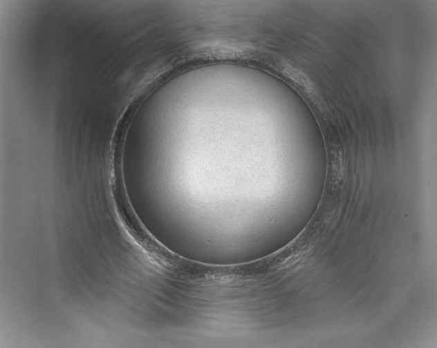 X0000073390582200608111235